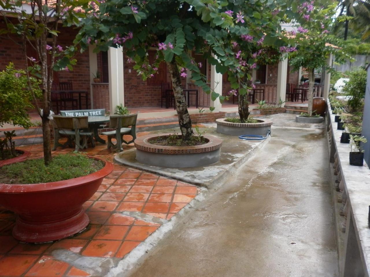 The Palm Tree Guesthouse Phu Quoc Exterior photo